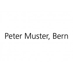 PostAuto-Unternehmer klein