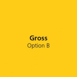Gross Option B